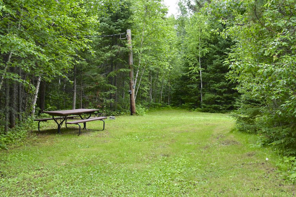 Campsite 22 with grassy tent or RV spot, picnic table, surrounded by trees