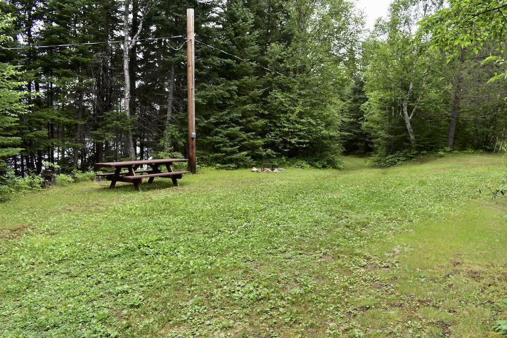 Campsite 25, grassy, surrounded by trees, picnic table, firepit