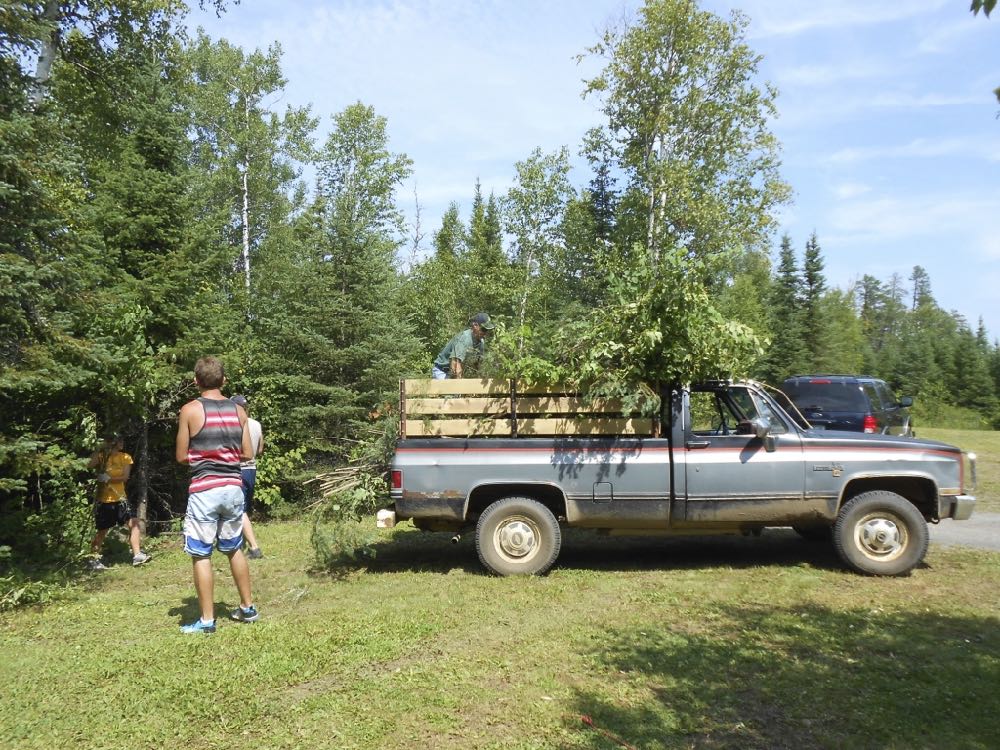 a family cutting and hauling brush