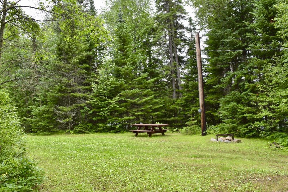 An Okontoe campsite picnic table and fire ring/grate, surrounded by trees