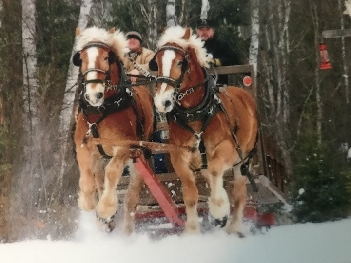 mark & jake on sleigh ride