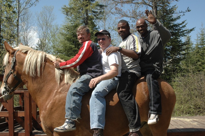 four men sitting on a Belgian horse