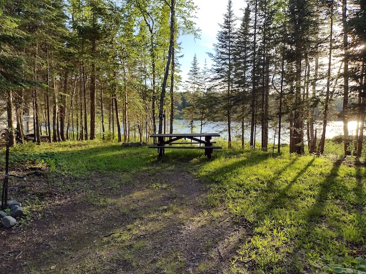 Campsite 13, next to Bow Lake with tent or RV spot, picnic table and firepit