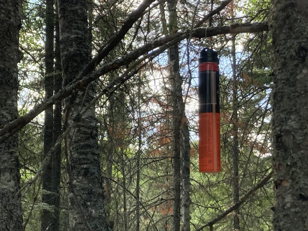 Bait station for bugs at Okontoe