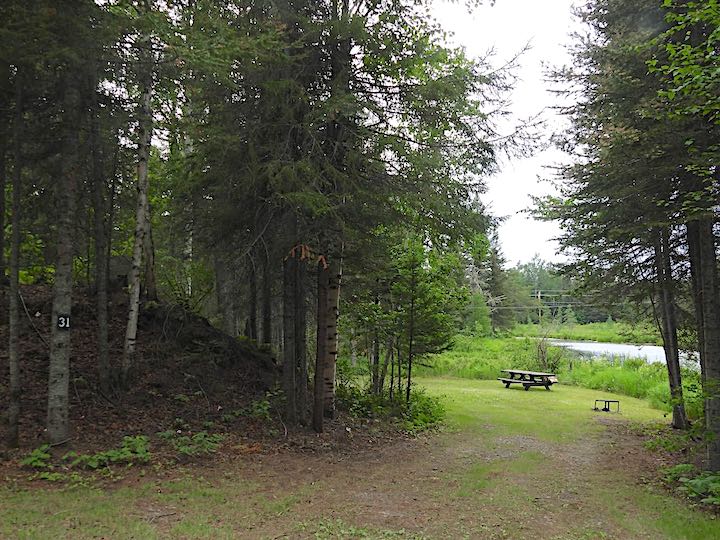 Campsite 31 from the road