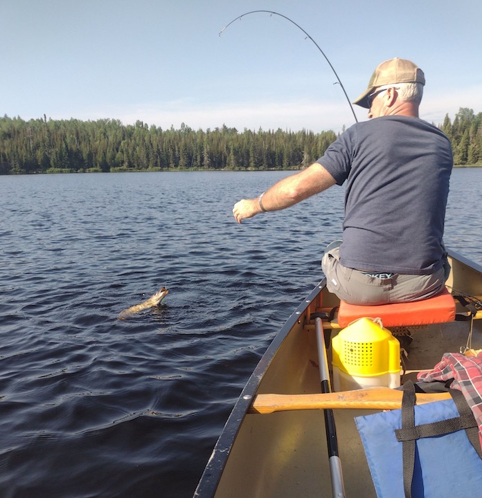 man landing a fish from the bow of a canoe