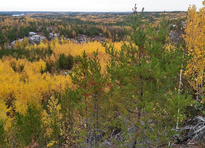 fall color from the summit of Blueberry Hill