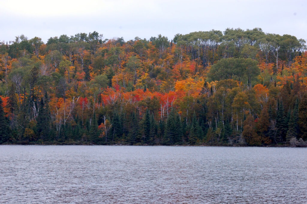 lake with a hillside full of trees in the fall