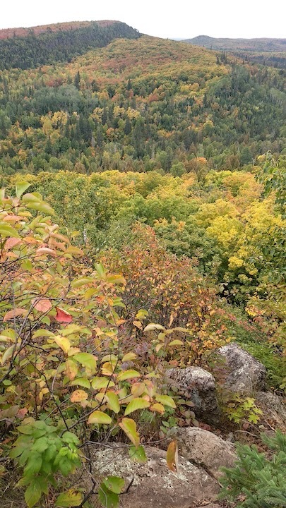 View from Oberg Mt in mid-September