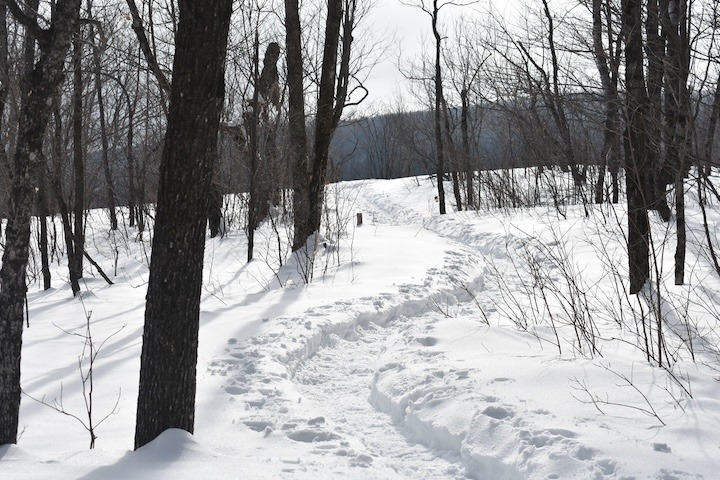 Snowshoe trail on Oberg Mountain in the winter