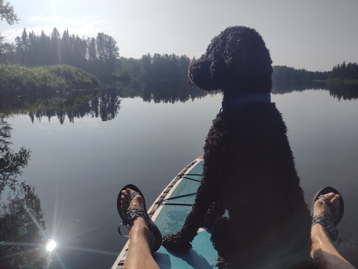 black dog sits on a paddleboard with paddler on a very calm Bow Lake