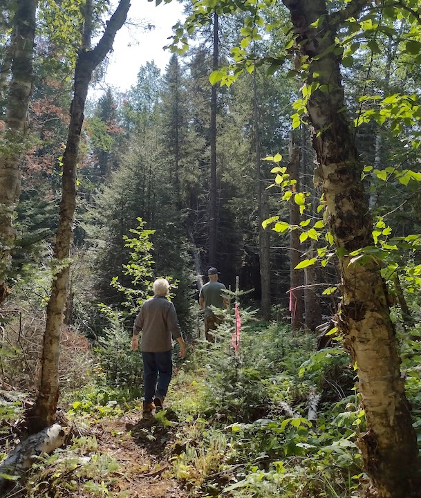 two hikers on the Bow Lake trail at Okontoe, hiking through a mixed forest