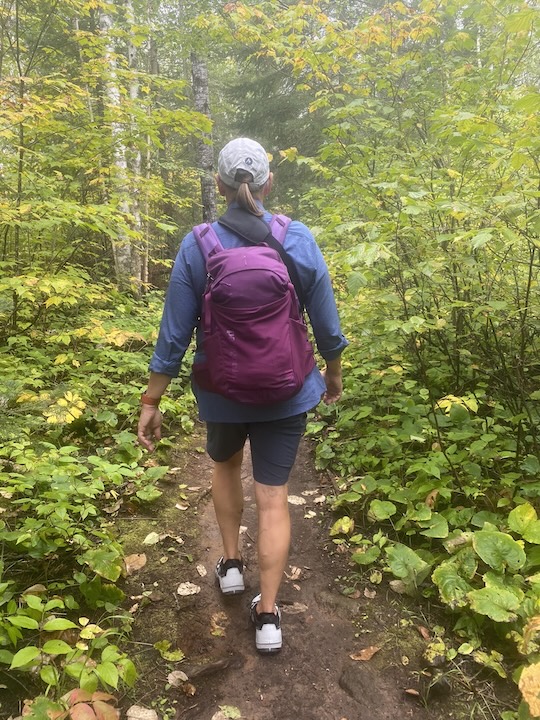 a woman hikes through a late summer forest