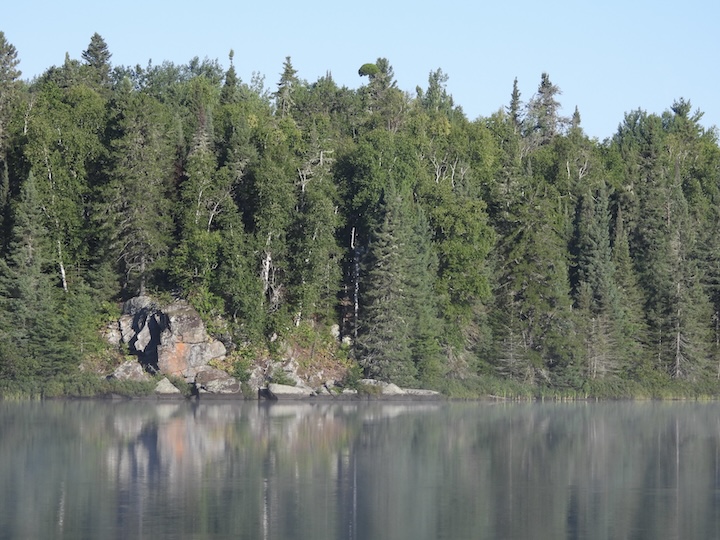 10 Reasons Your Family Needs a Digital Detox this Summer