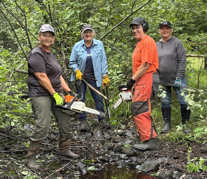 four women with tree tools stand in mud - two hold chainsaws